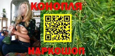 spice Малгобек
